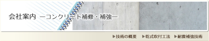会社案内 -コンクリート補修・補強-